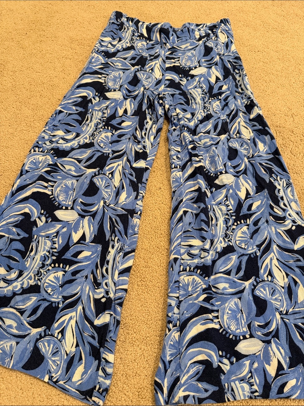 Lilly Pulitzer Women's Blue Floral Wide-Leg Pants sz 2